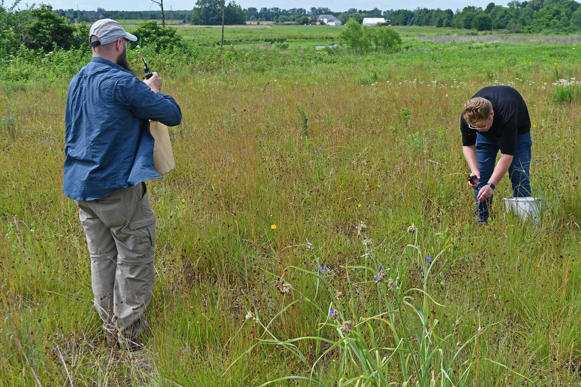 People doing seed collecting in a preserve.