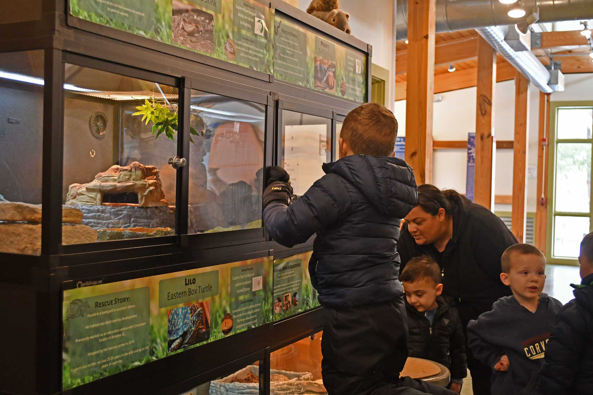 Kids looking at wildlife enclosures at nature center.