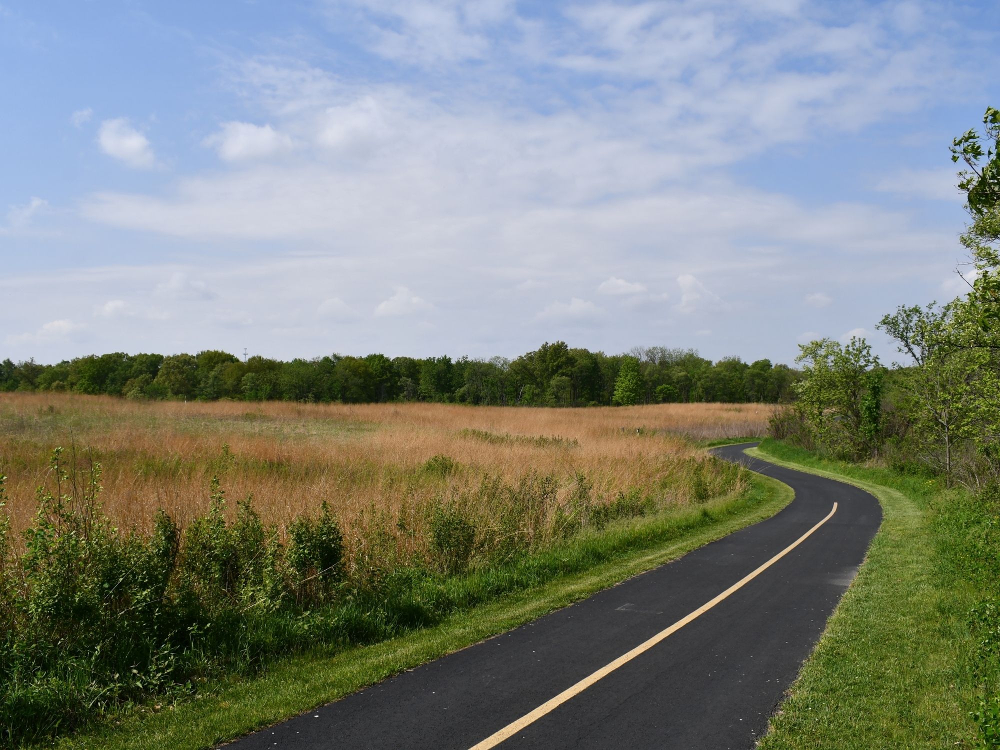 A paved walking and biking trail curves through a broad prairie of tall golden-brown grasses.