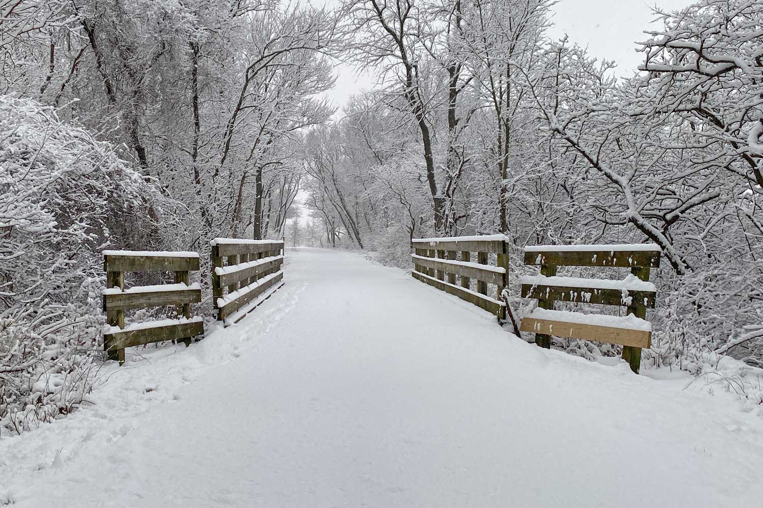 Snow covered trail at Sugar Creek.