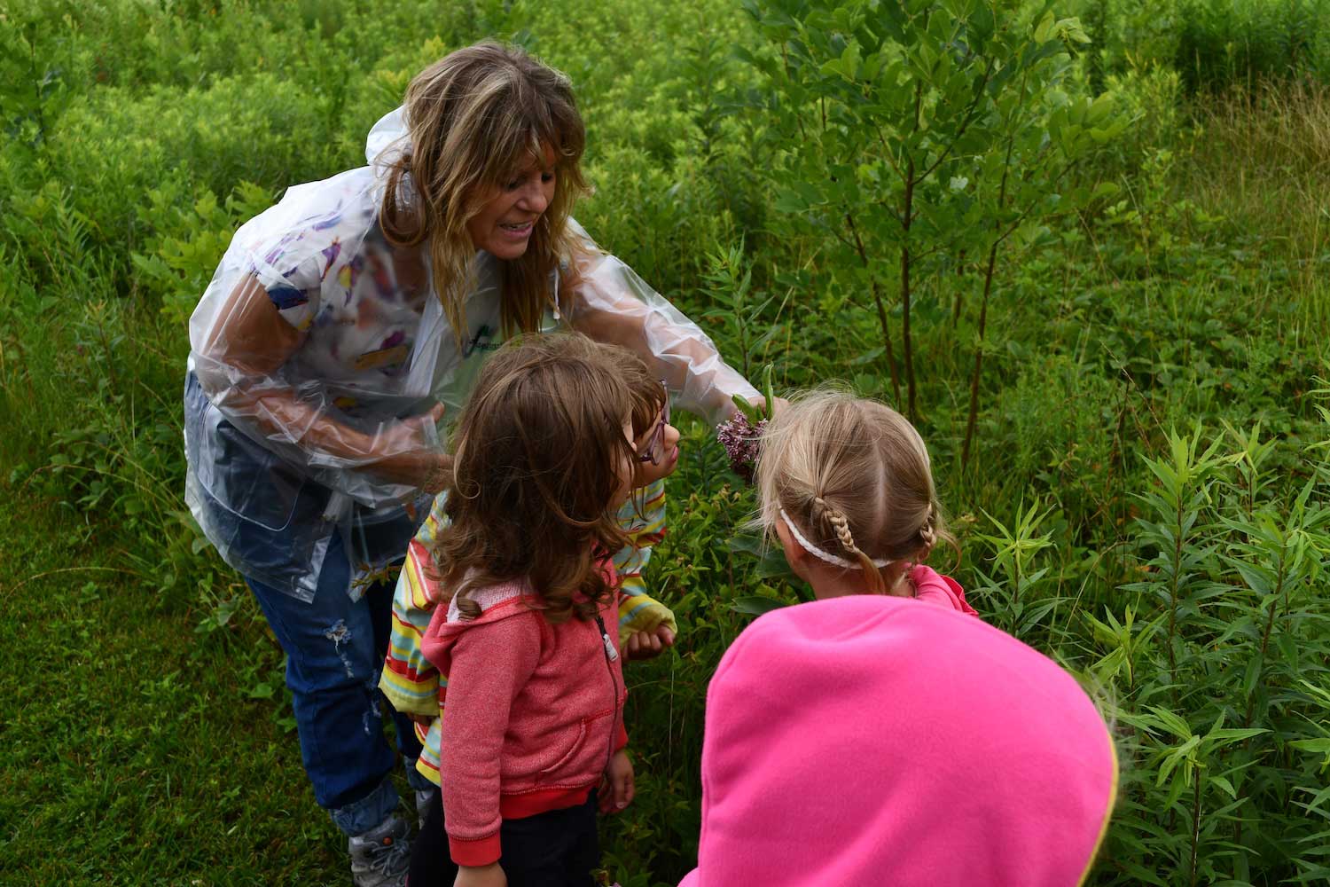 An adult showing three young kids something while standing next to tall grasses and plants.
