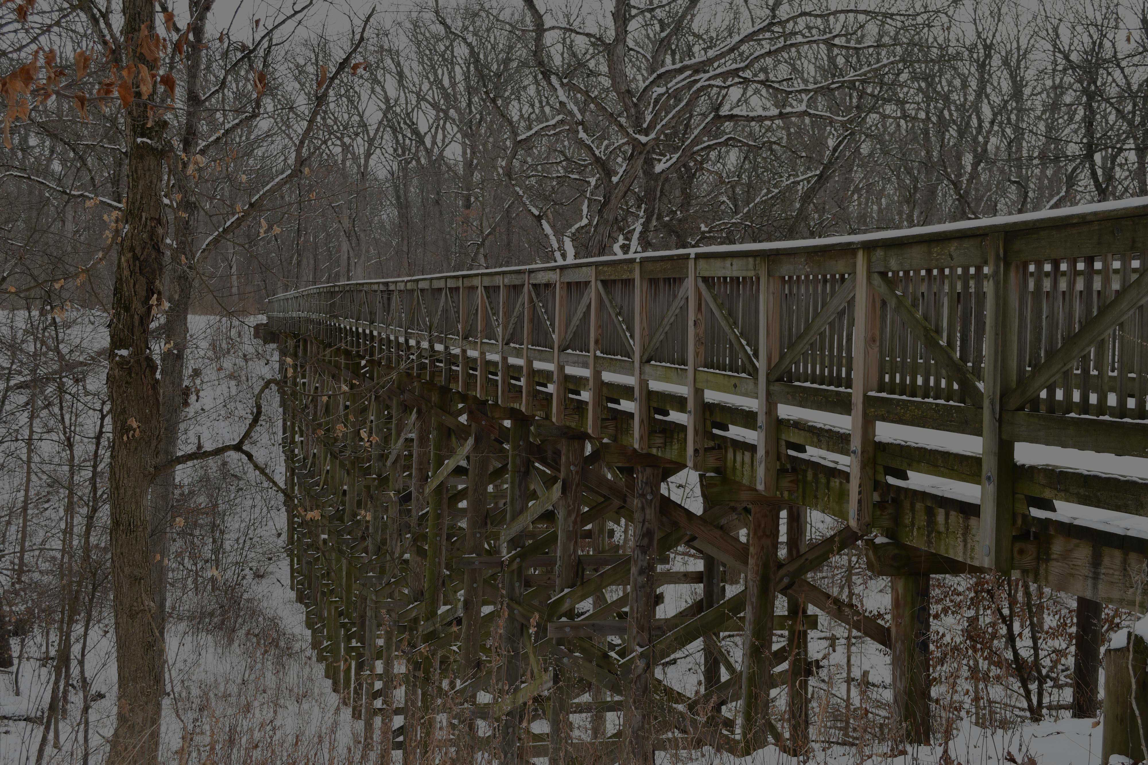 Bridge-3-Goodenow-Grove-Anthony-Schalk-February-2025B.jpg