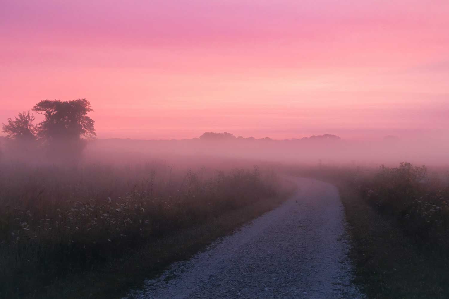 In June, more daylight means more time to explore
