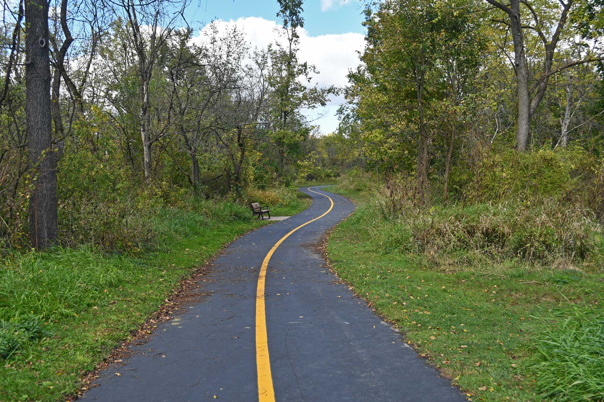 Paved trail lined by trees and grass.