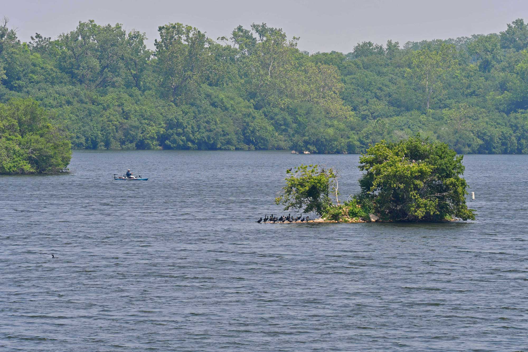 Lake with trees in the background.