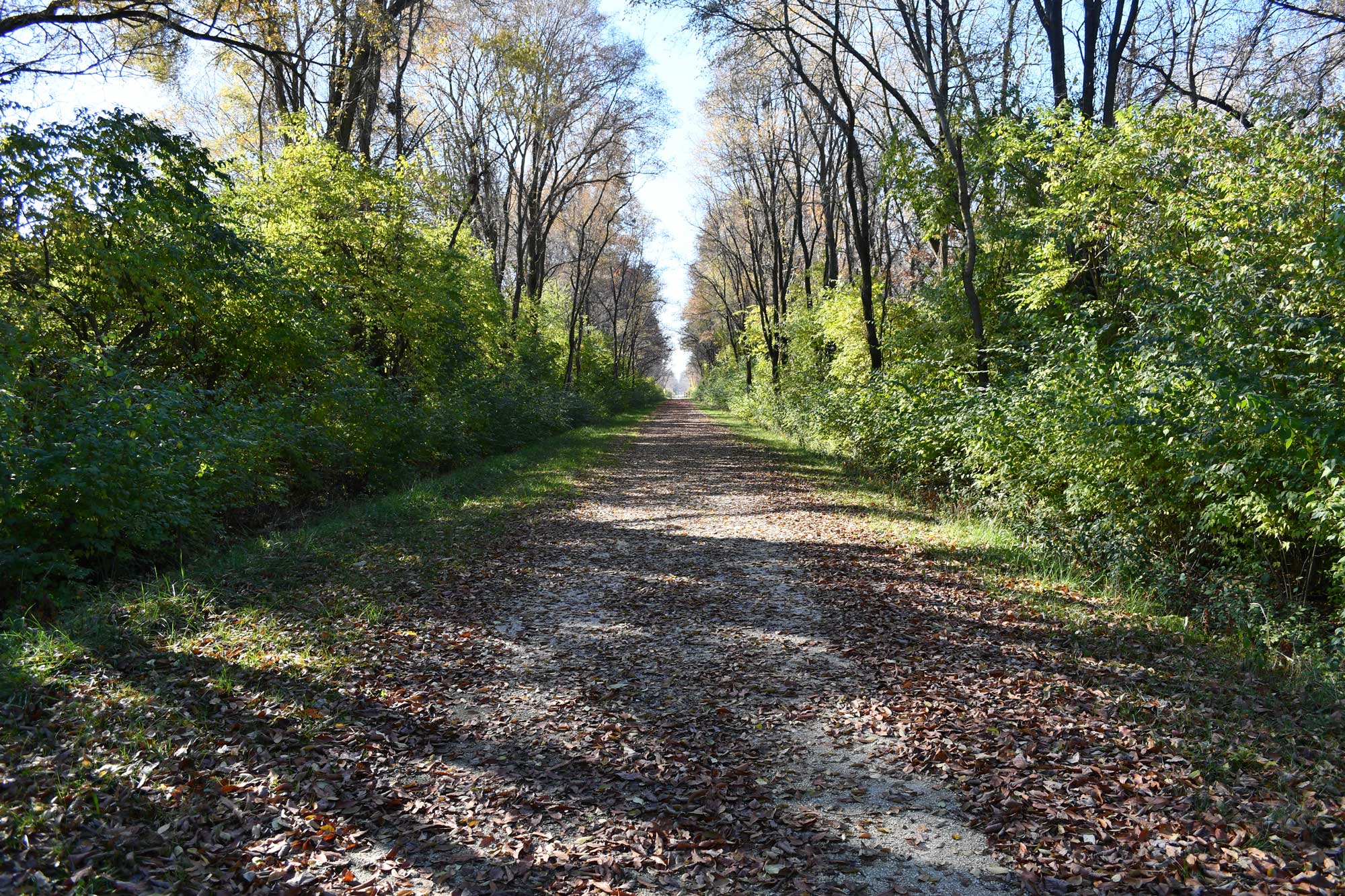 Limestone trail lined with grasses, vegetation, and trees.