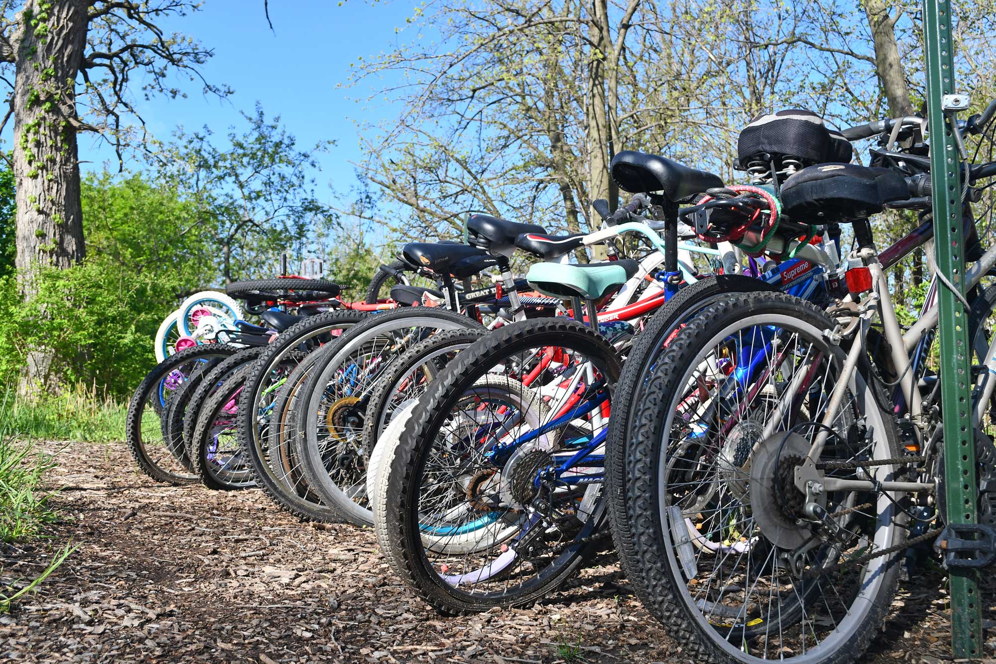a group of bicycles parked in a row