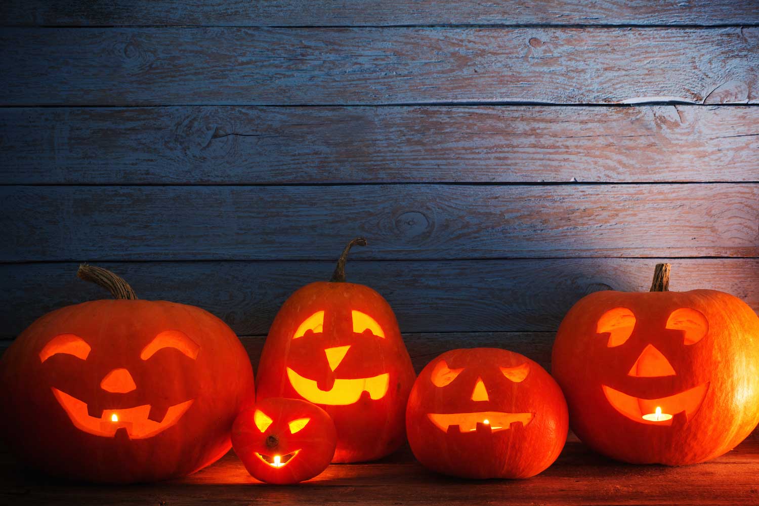 Five glowing jack-o-lanterns lined up against a wooden wall.