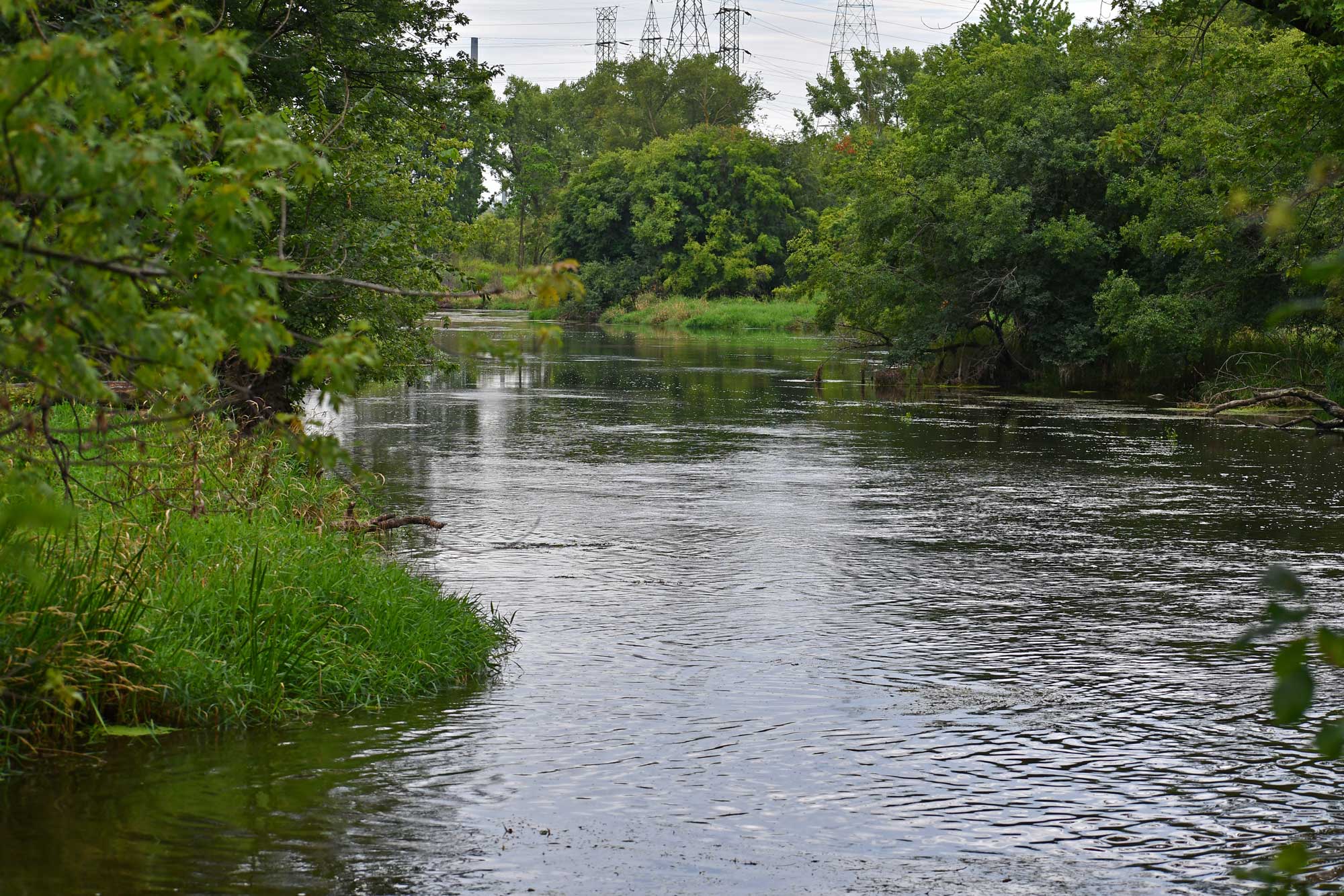 River lined with trees.