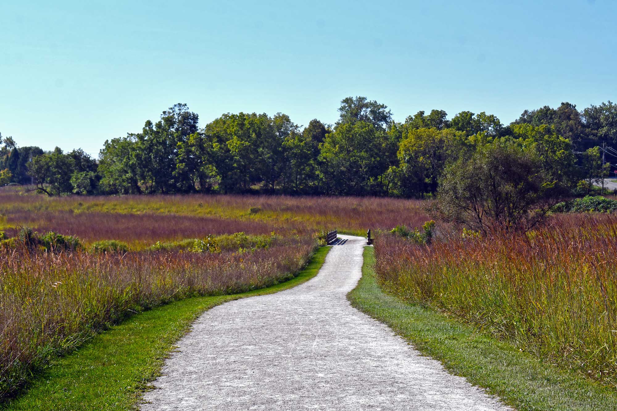 Limestone trail lined with grasses and vegetation with a walking bridge and trees in the background.