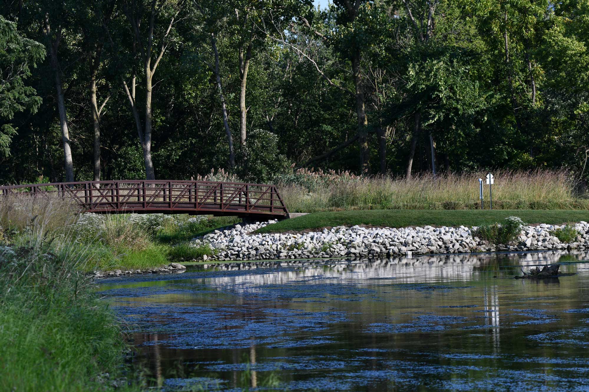 Pond with bridge, trees, and vegetation in the background.