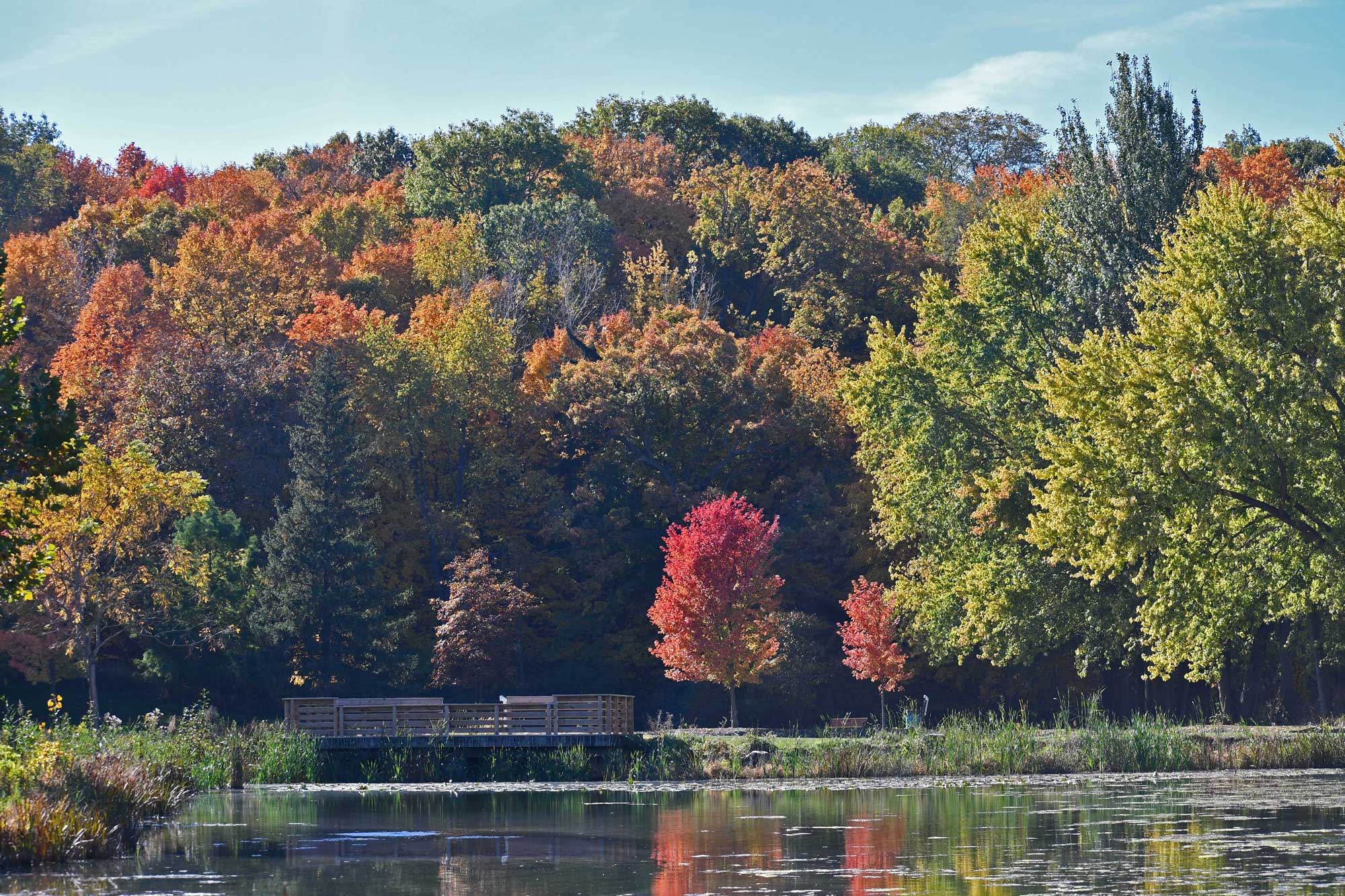 Fishing pier with fall colored trees in the background and water in the foreground..