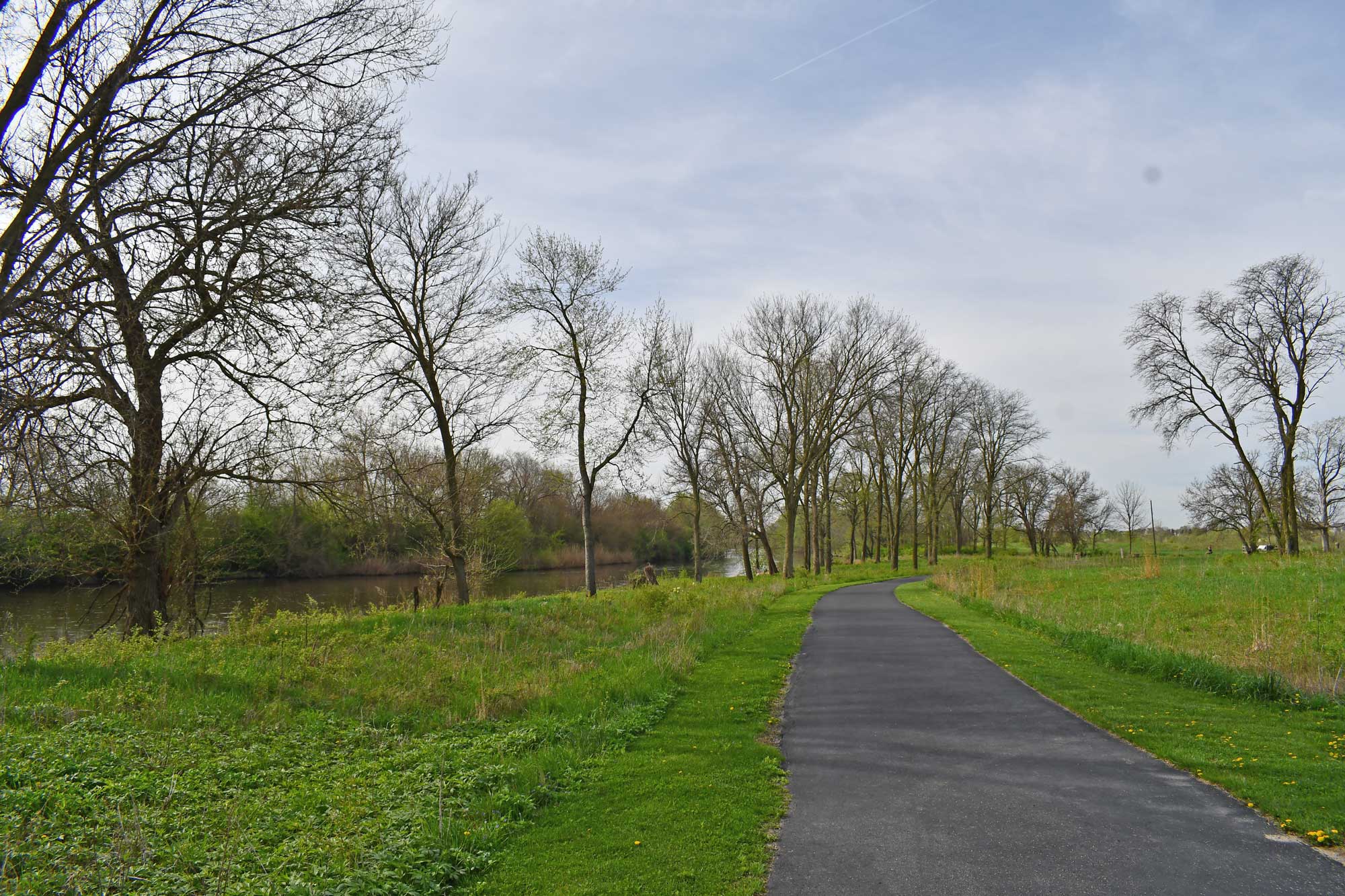 Paved trail lined by trees, vegetation, and grass.