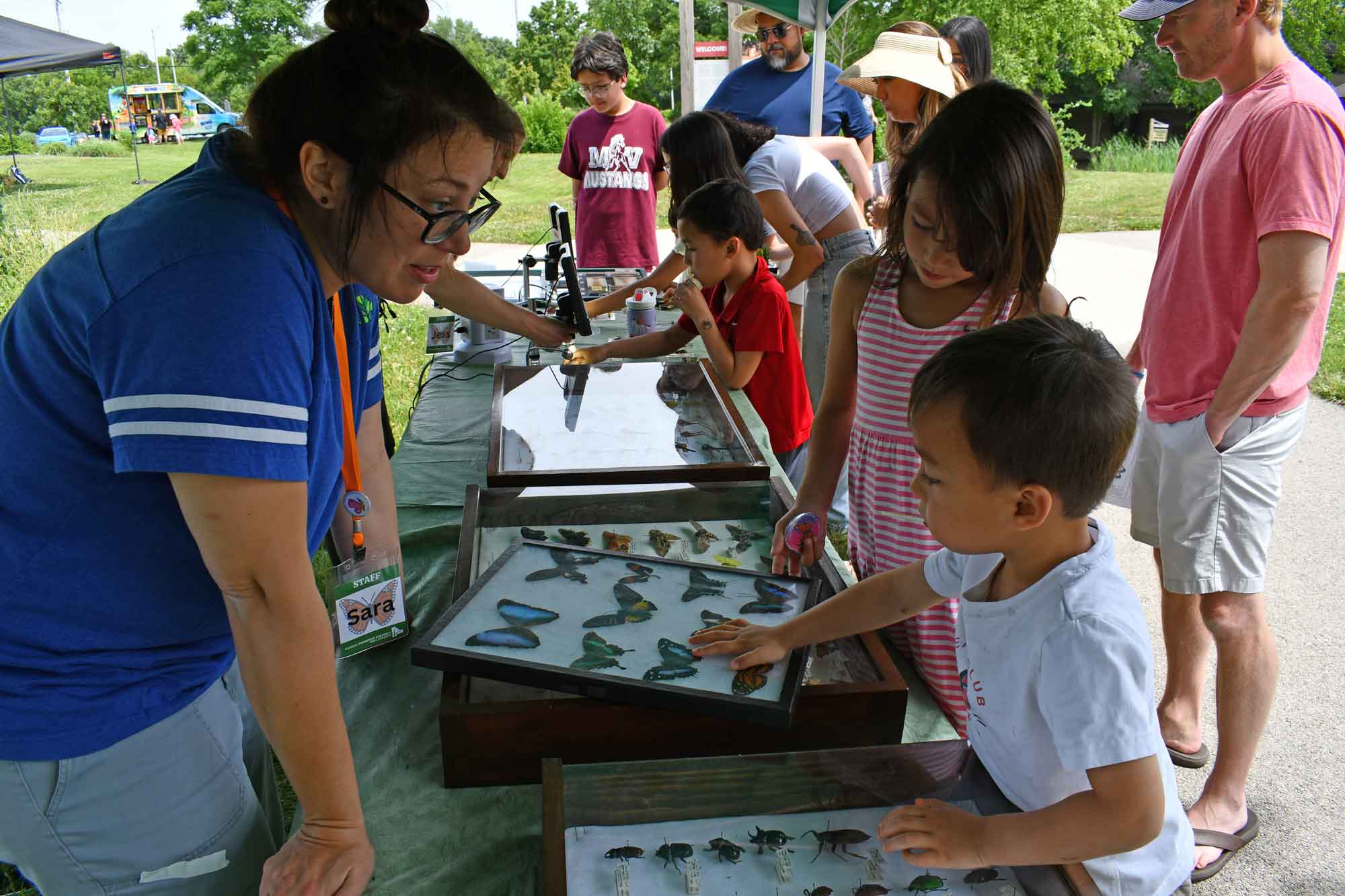 a group of people looking at insects