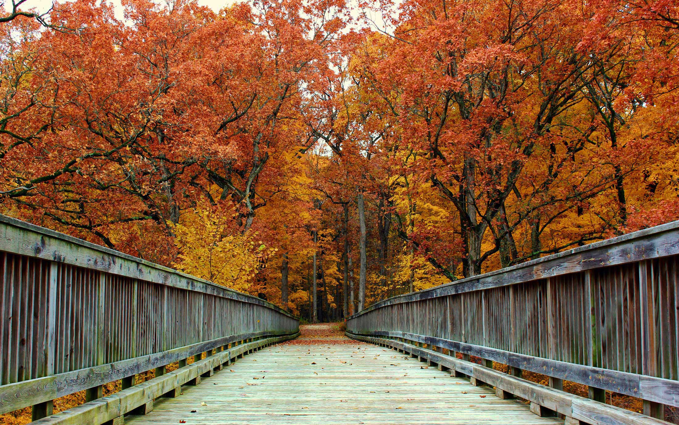 Don't miss the fall color at these preserves