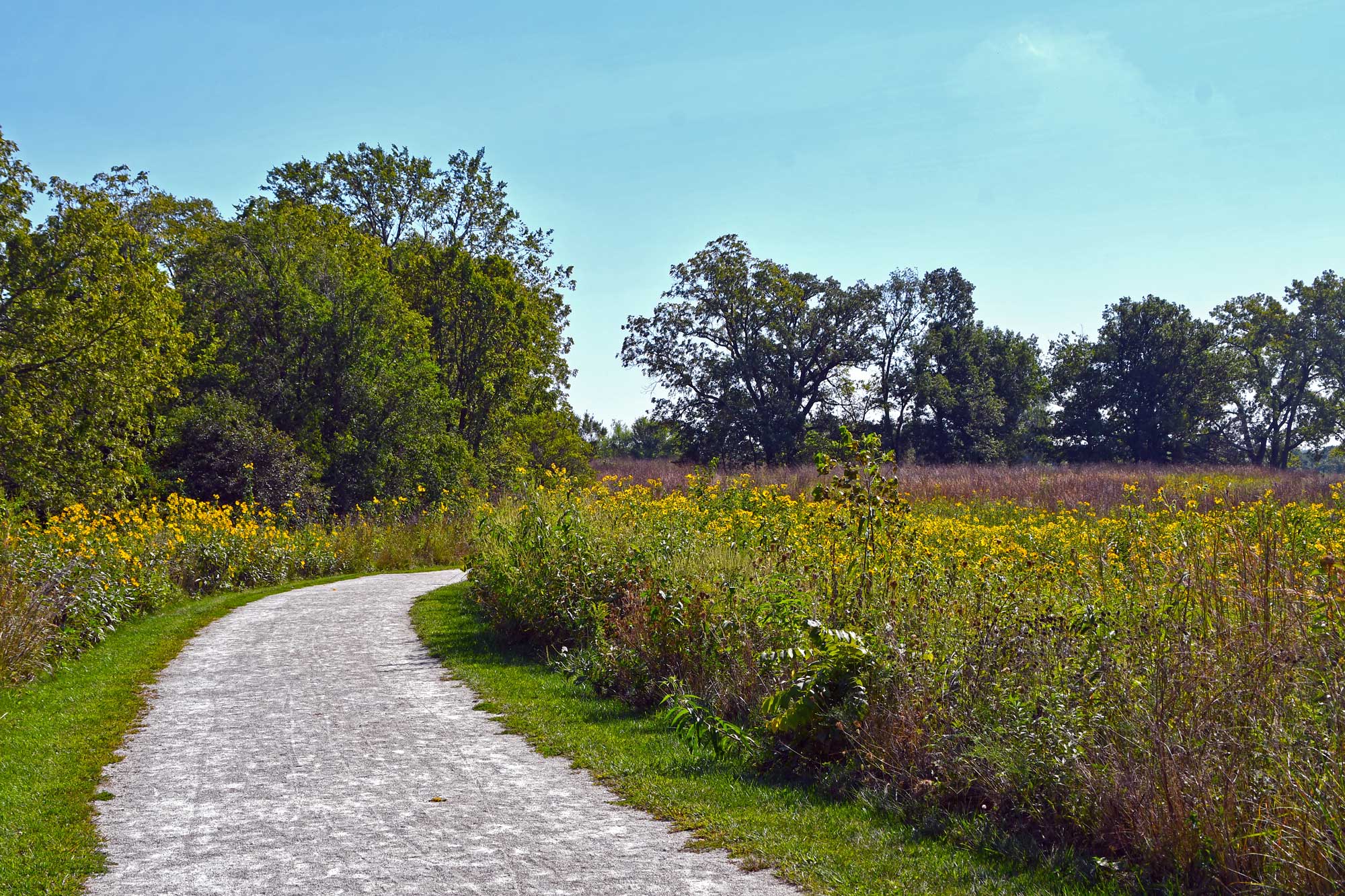 Limestone trail lined with grasses, vegetation, and trees.