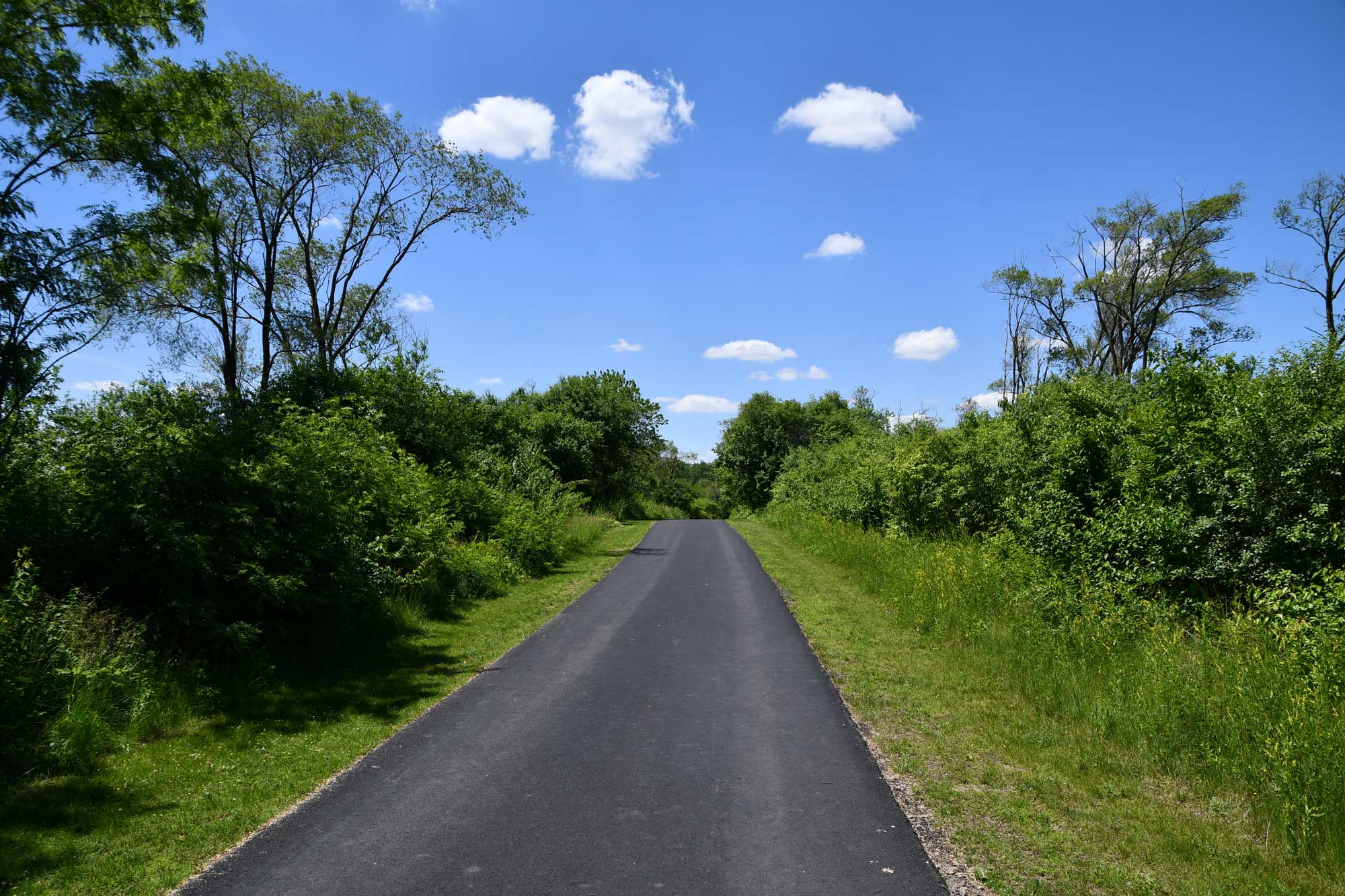 Paved trail lined by trees, vegetation, and grass.