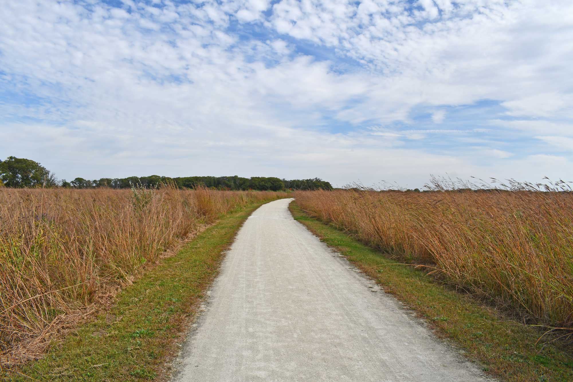 Limestone trail lined by grasses and vegetation with a tree line in the background.