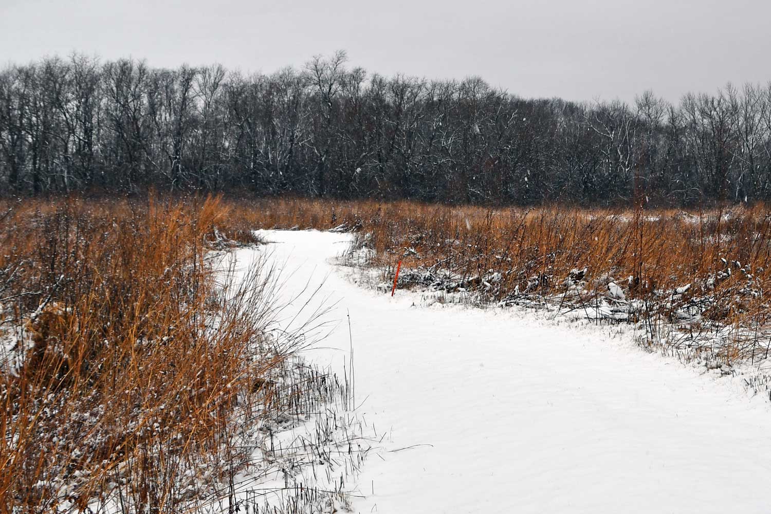 Snow covered trail at Sugar Creek.