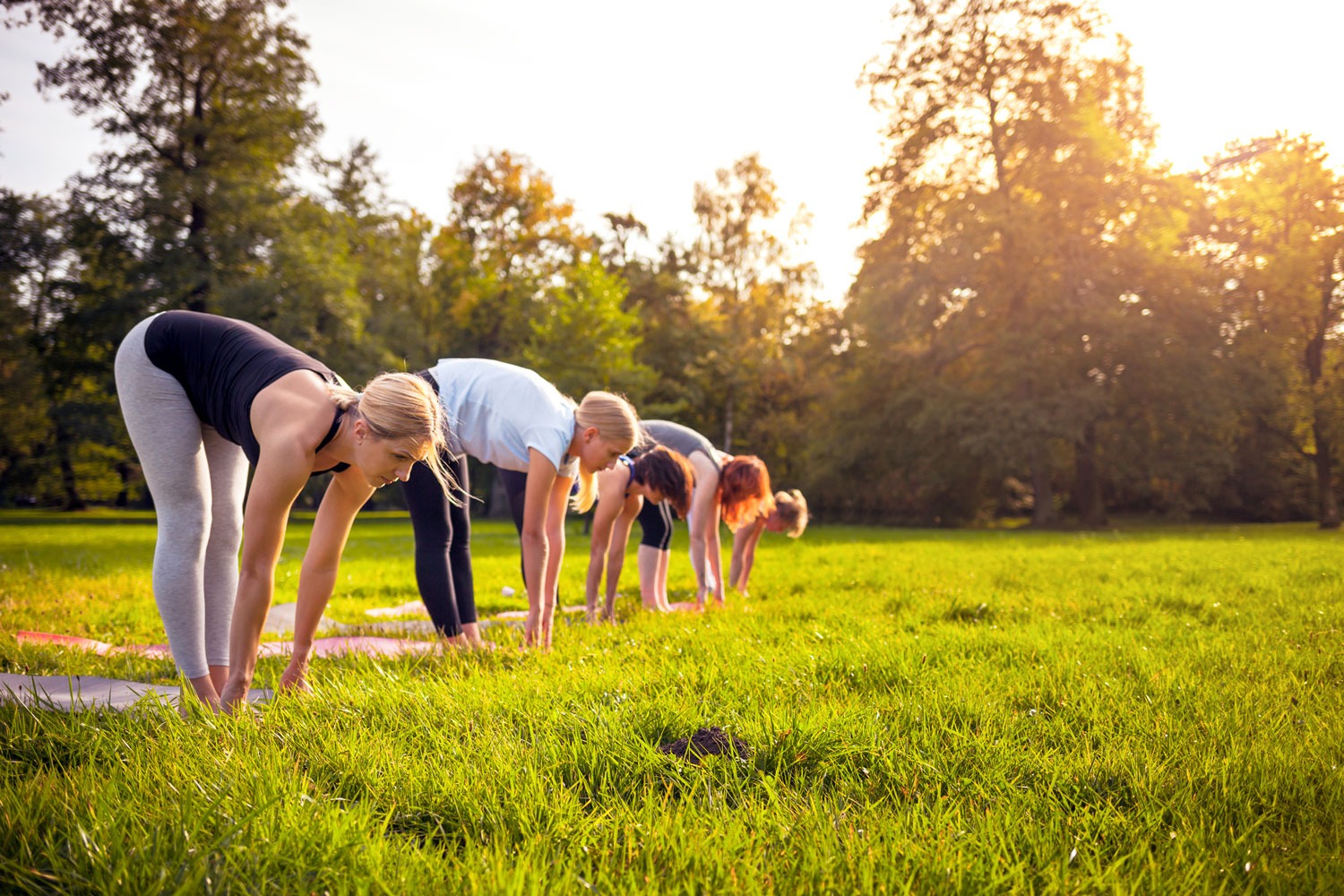 A group of people in a line bent at the waist in a yoga pose while standing in the grass. Trees are visible in the background.
