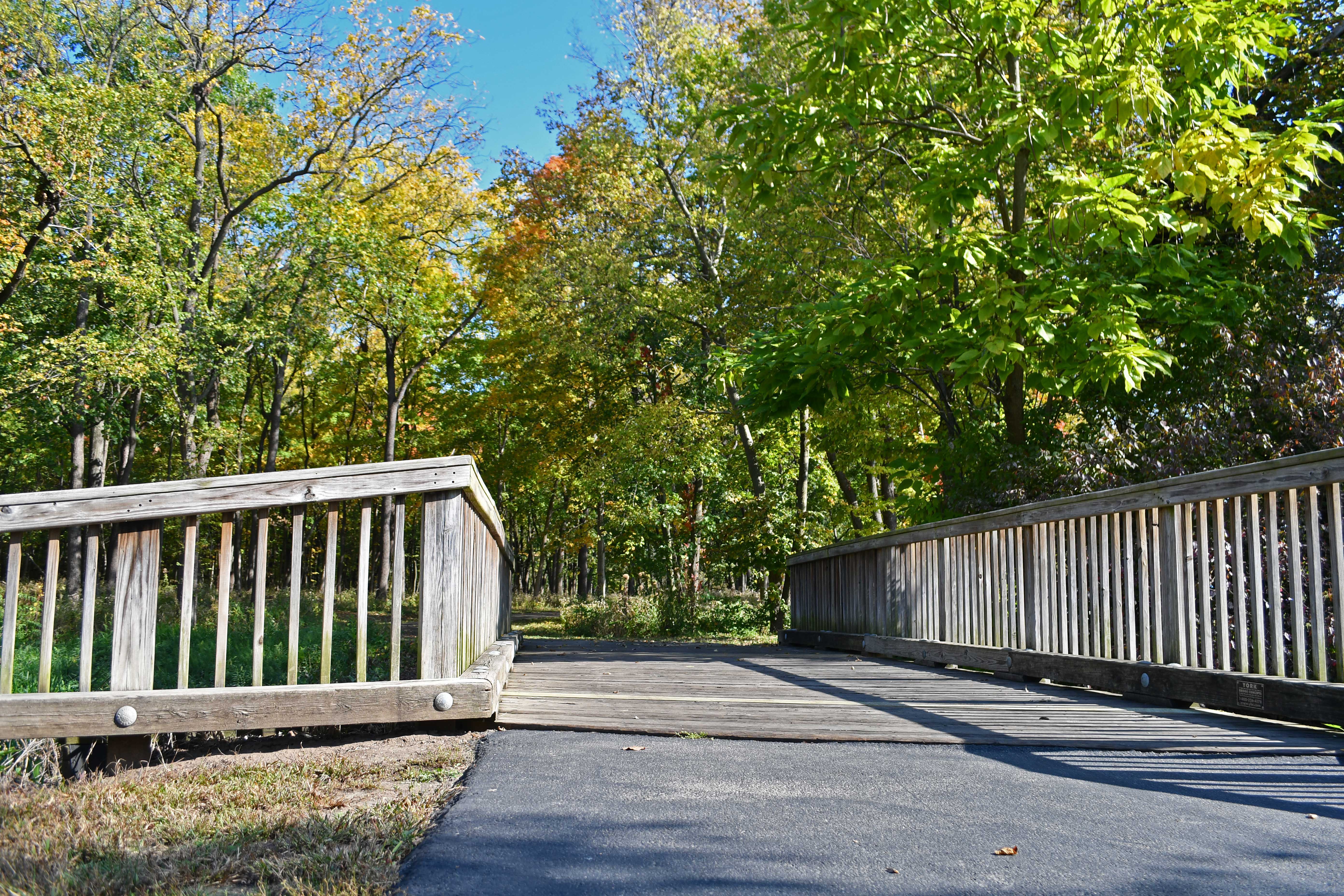 Scenic bridge entryway into a colorful fall forest landscape.