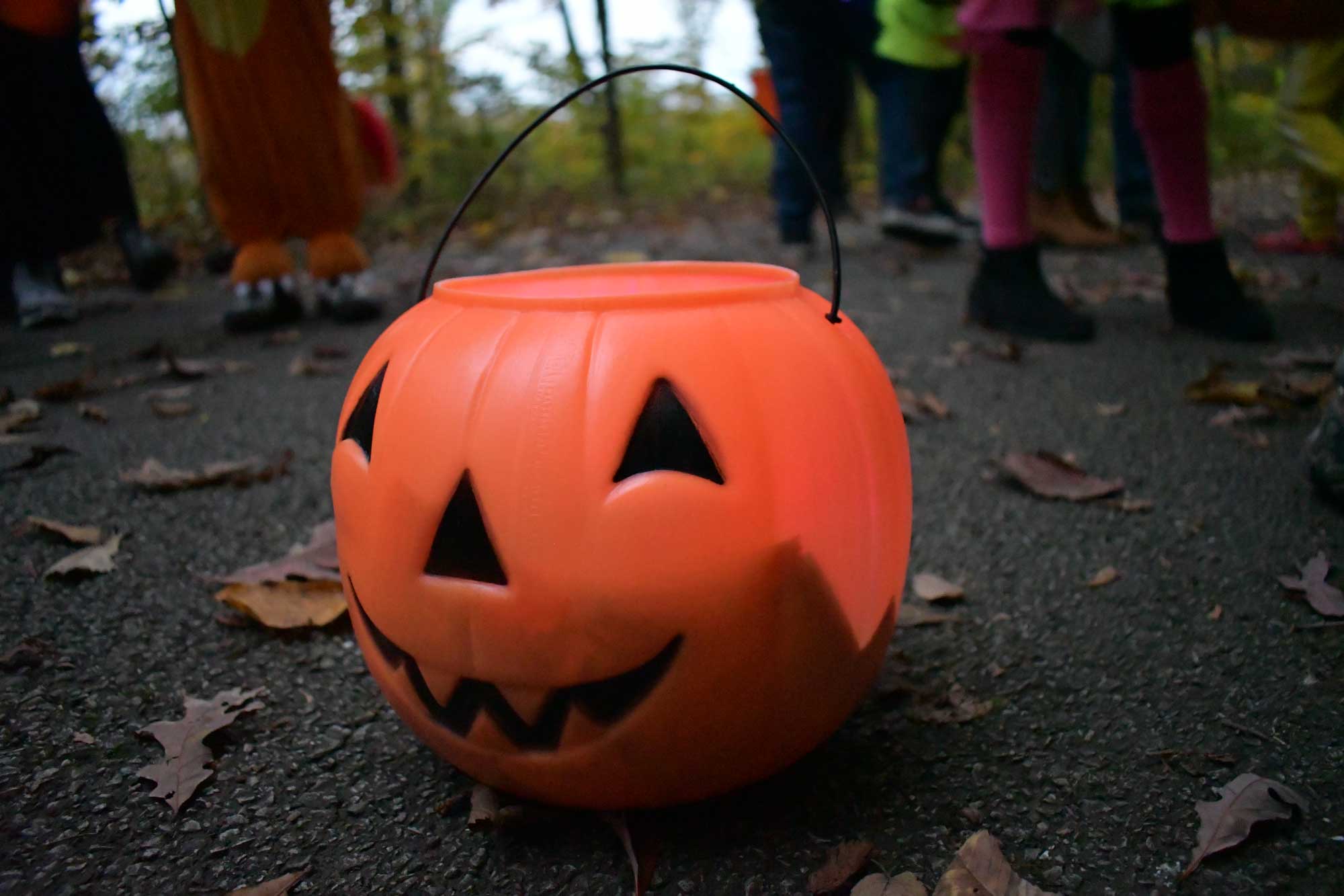 A plastic jack-o'-lantern on a paved trail with fallen leaves scattered around it.