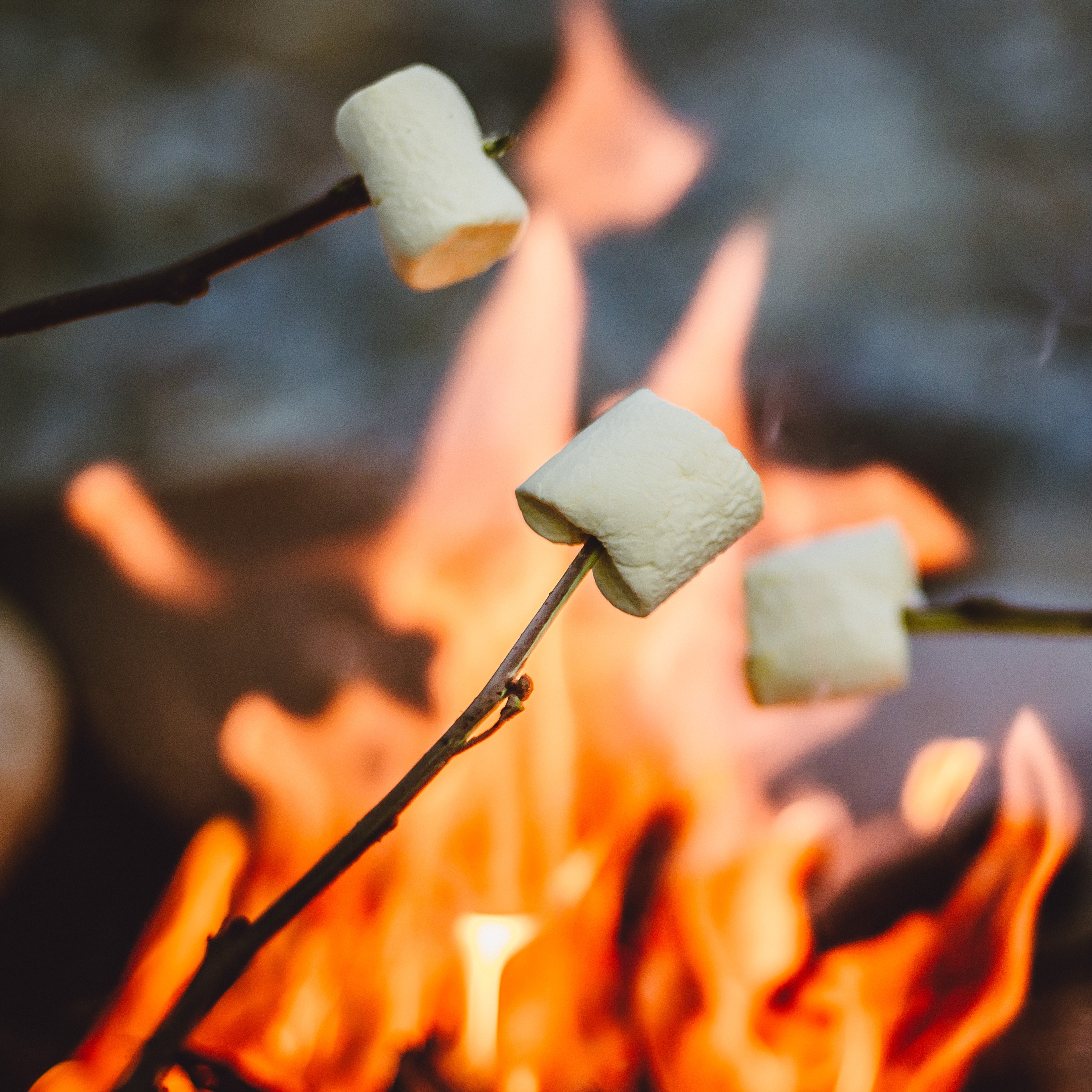 Your guide to camping in the preserves