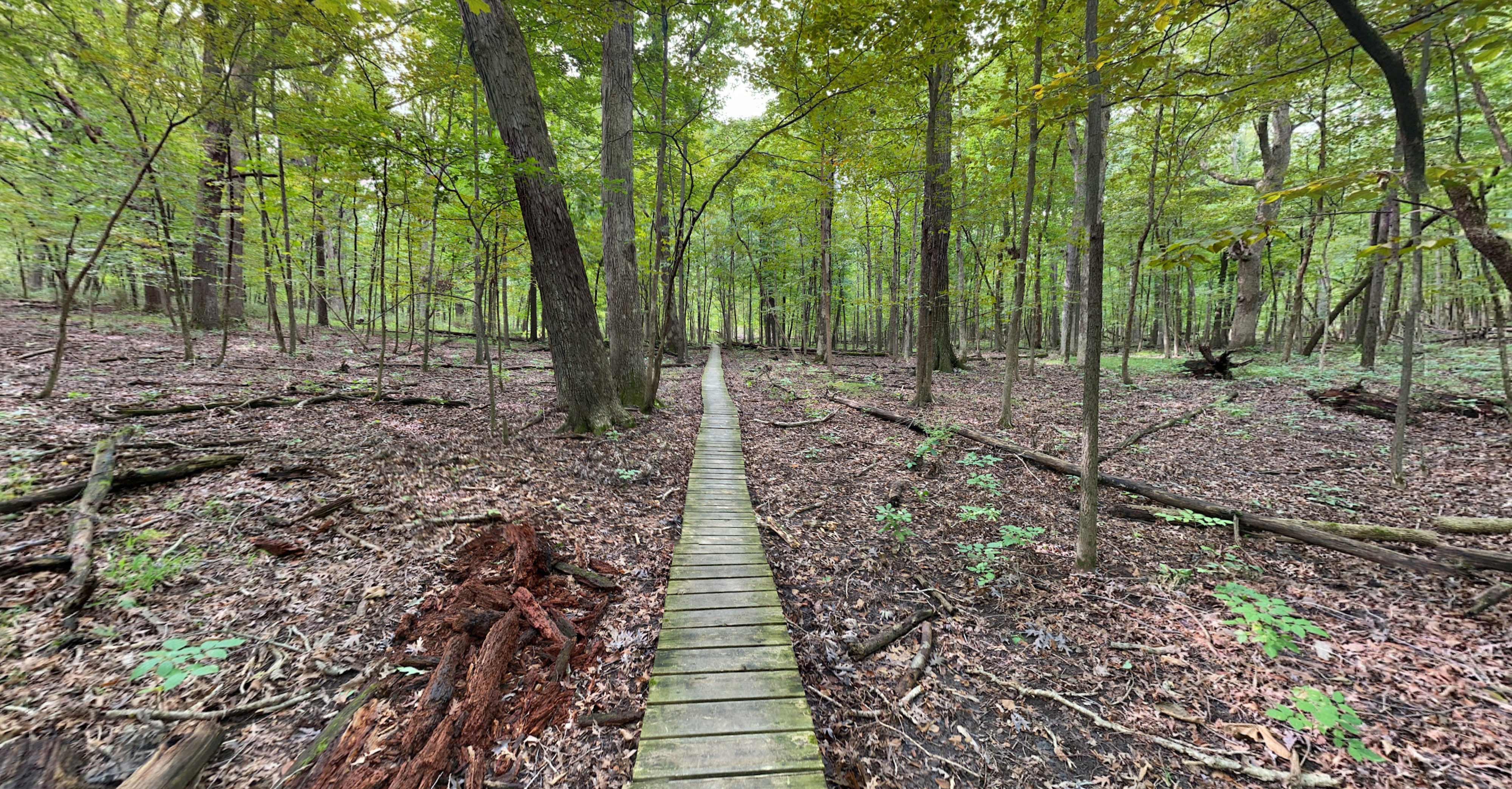 Trail at Thorn Creek Woods Nature Preserve.
