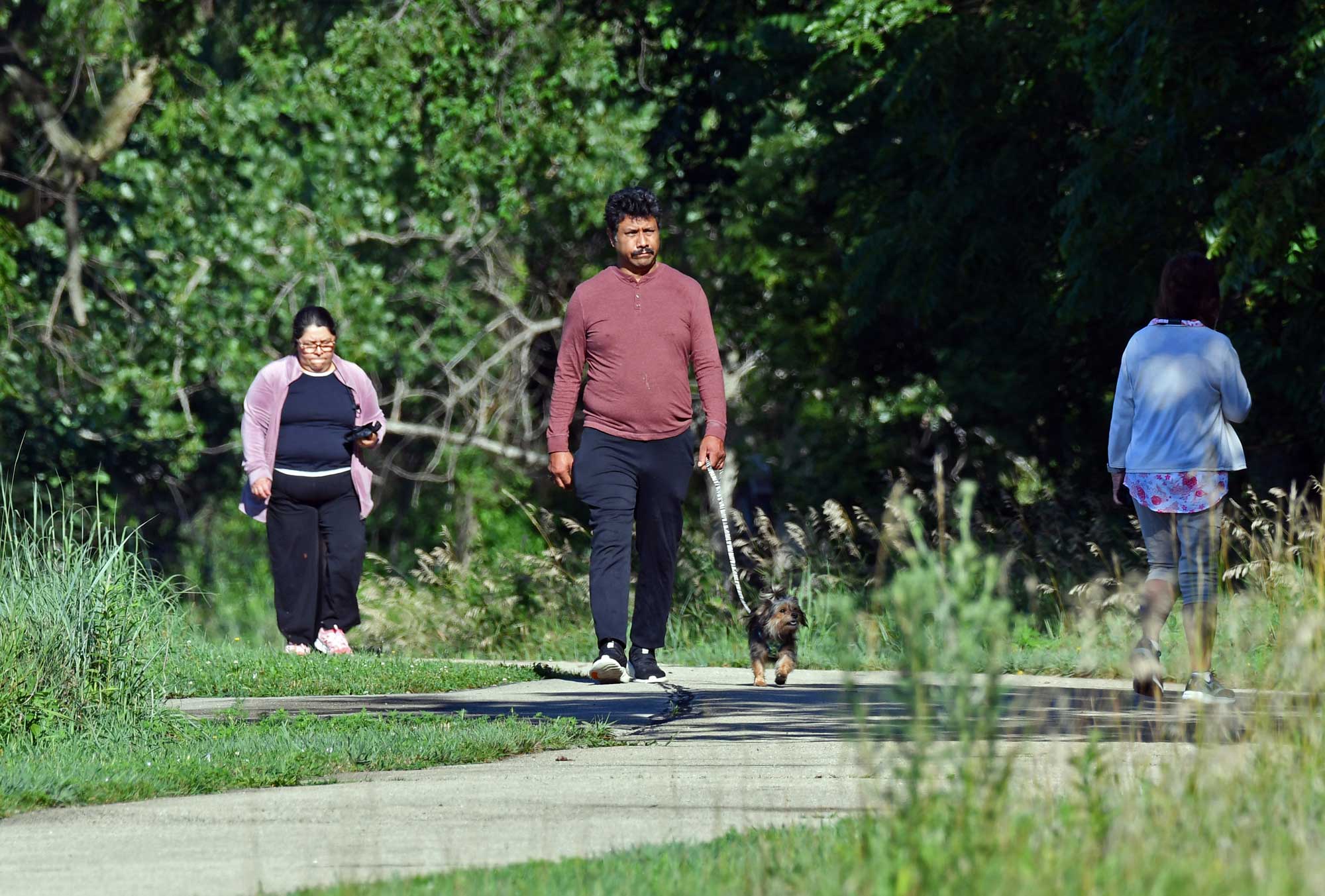 People walking on paved trail with trees and vegetation in the background.
