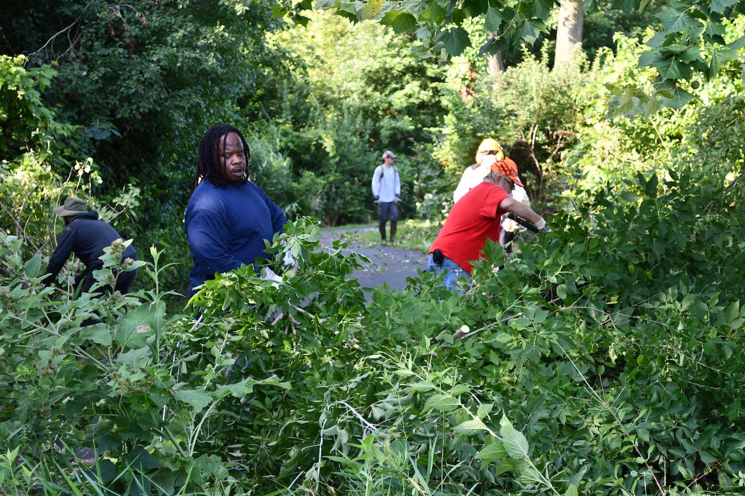 A person putting large, leafy branches on a pile while other people work in the background.