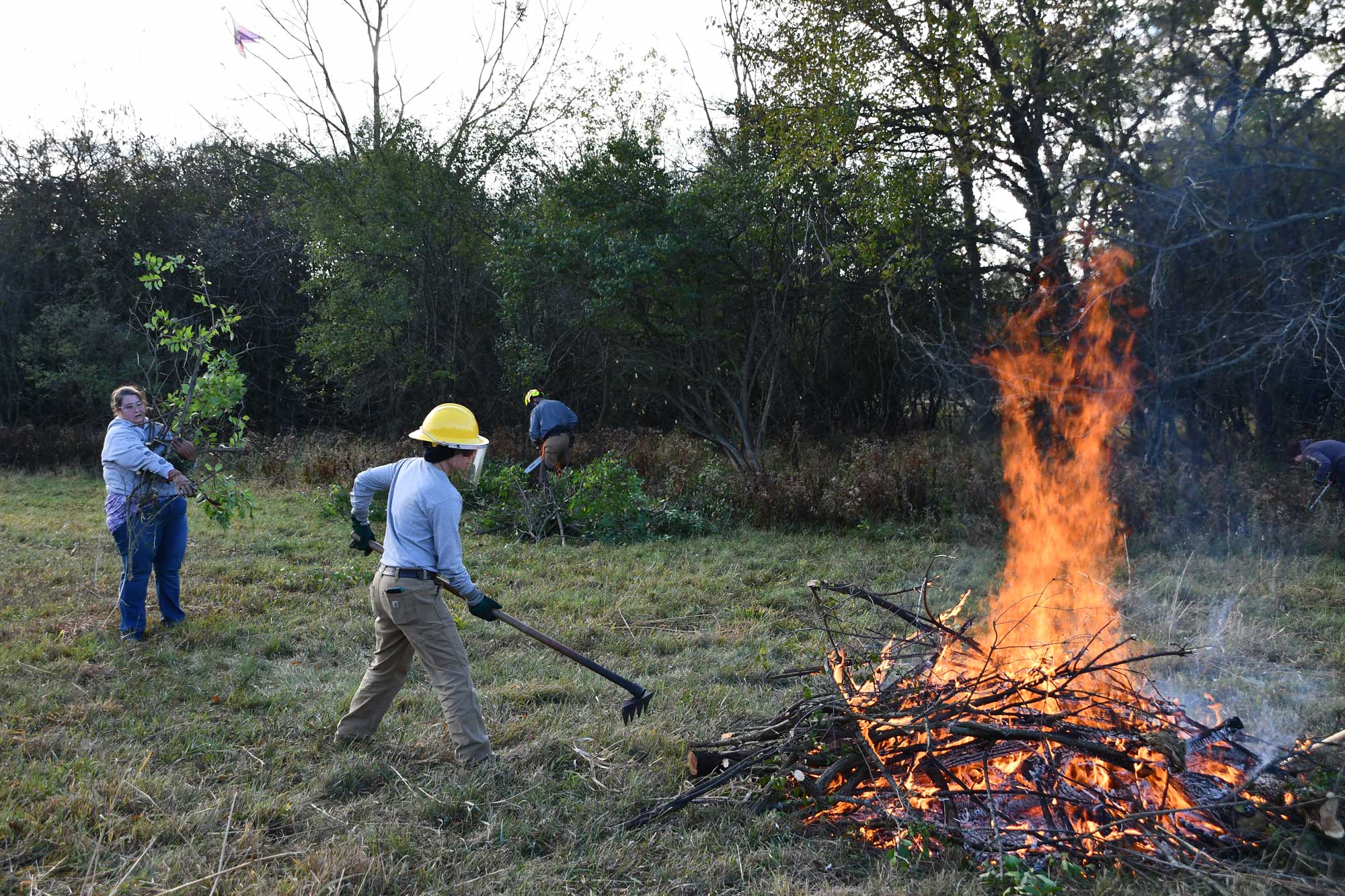 A person using a rake to tend a burning brush pile. Another person in the background is holding braches.
