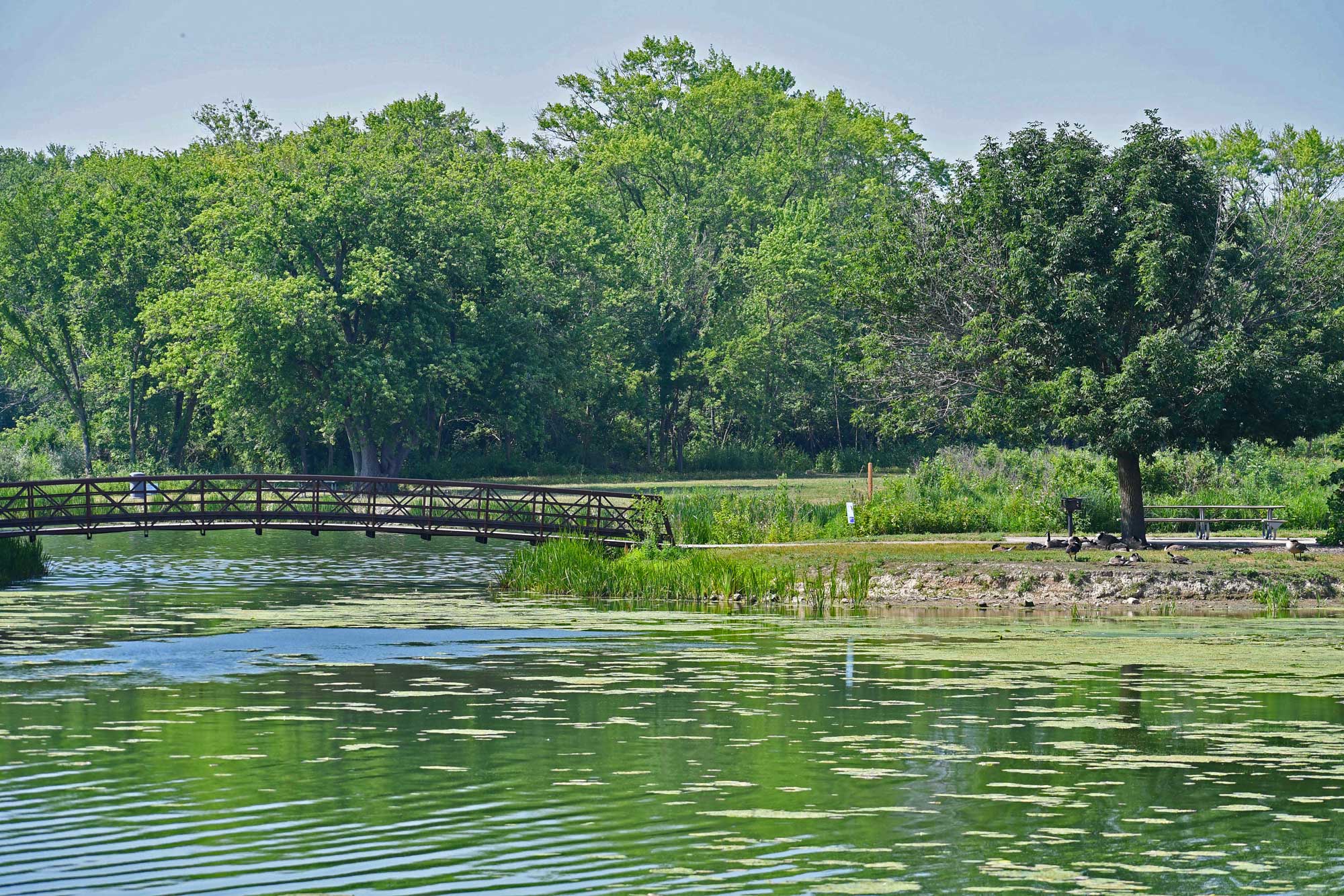 Reservoir with bridge and trees in the background.