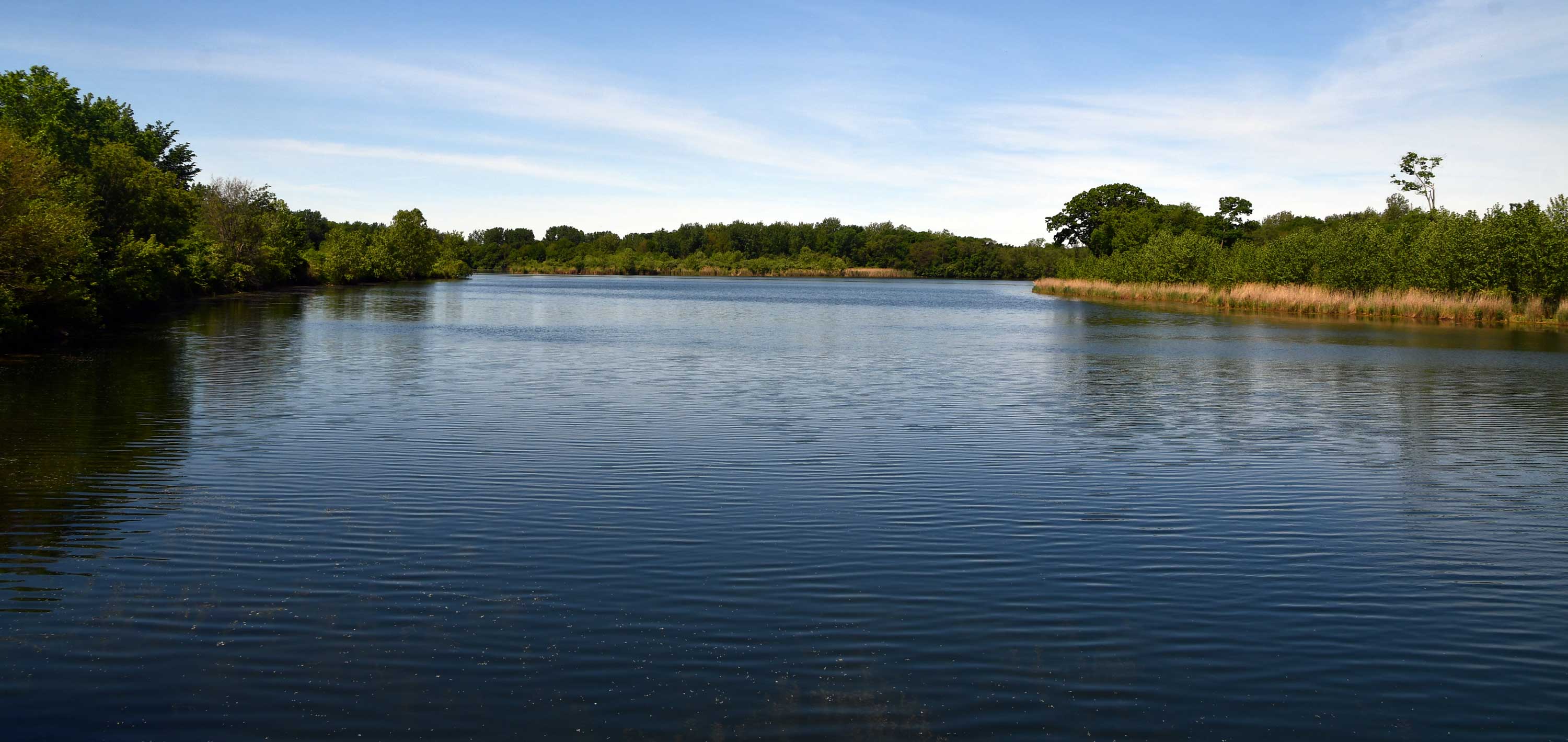 A scenic shot of Lake Chaminwood.