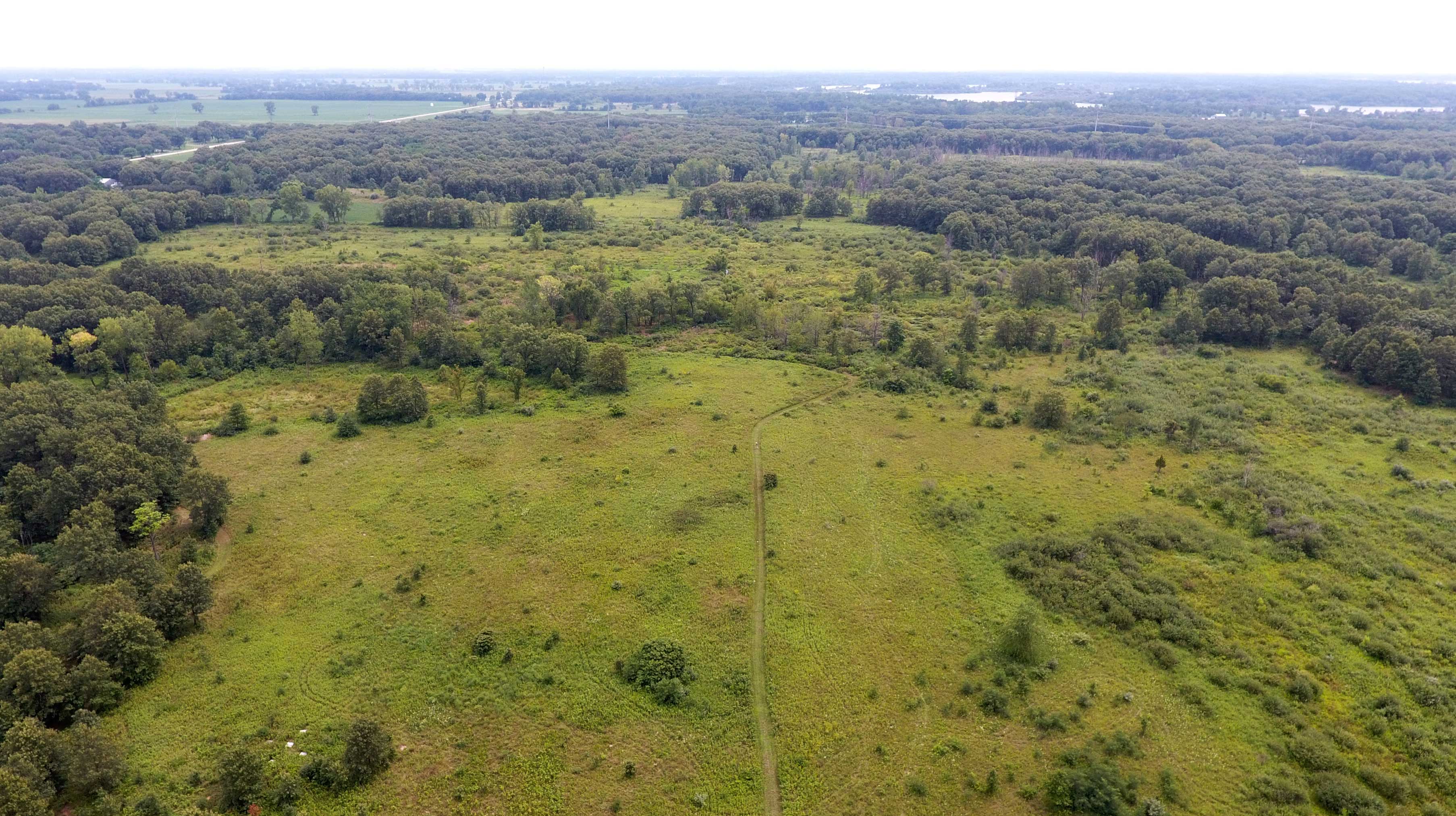 Aerial view of Lake Renwick Preserve.