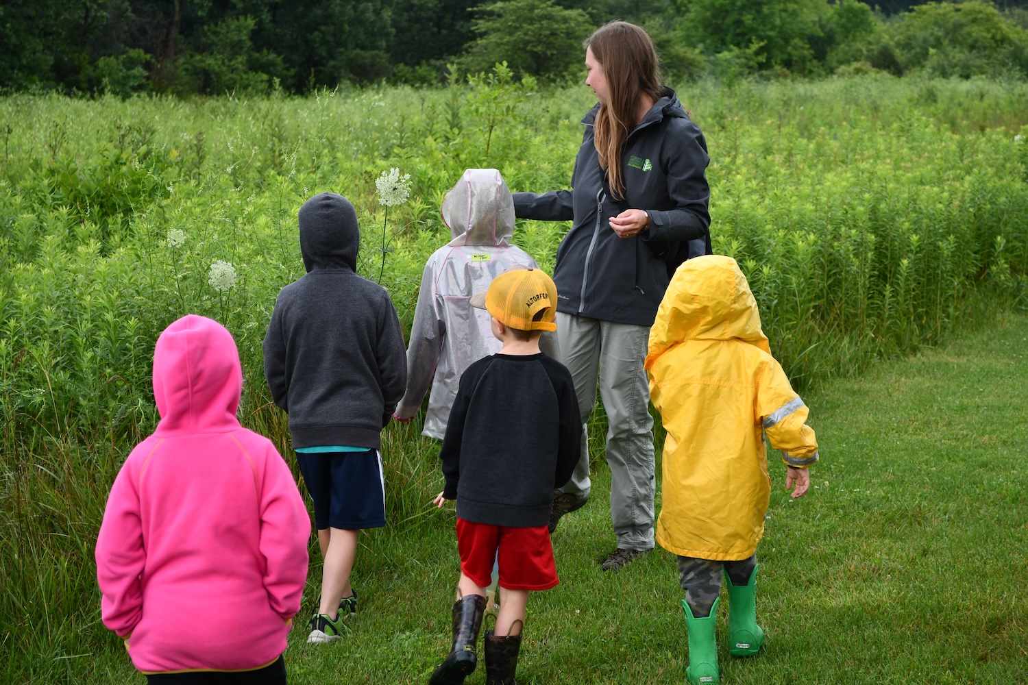 An adult walking backward leading a line of kids through the grass with taller grasses to their left. 