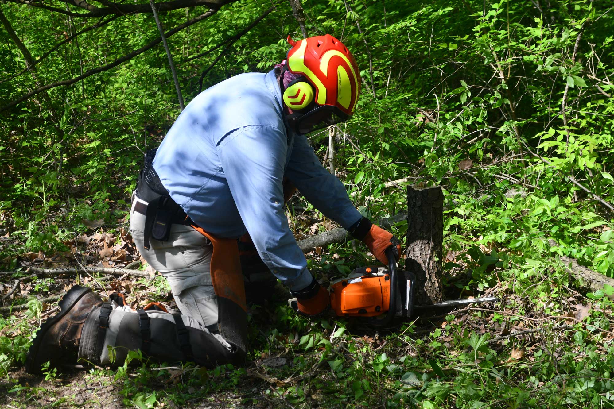 A person wearing a helmet and other protective gear kneeling on the ground holding a chainsaw to cut a small tree stump.
