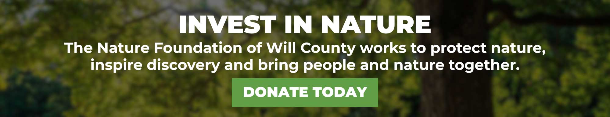 Invest banner image with donate today button