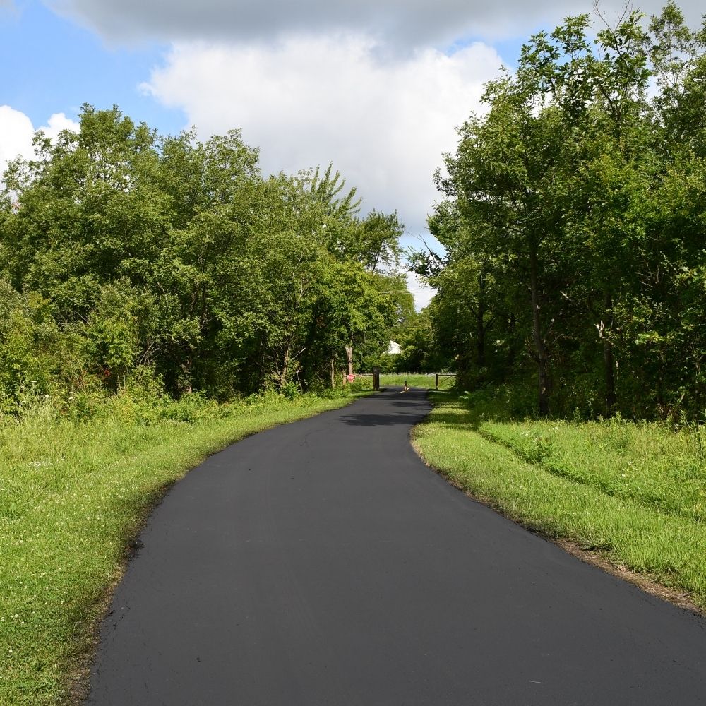 A newly paved blacktop trail winds through a lush green landscape bordered by grasses and dense trees.