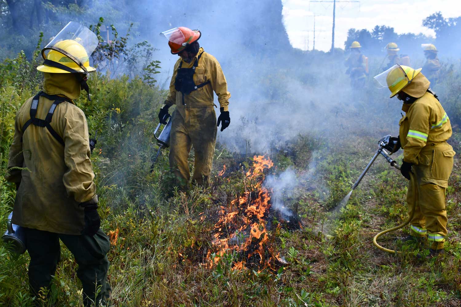 Team of people conducting a prescribed burn.