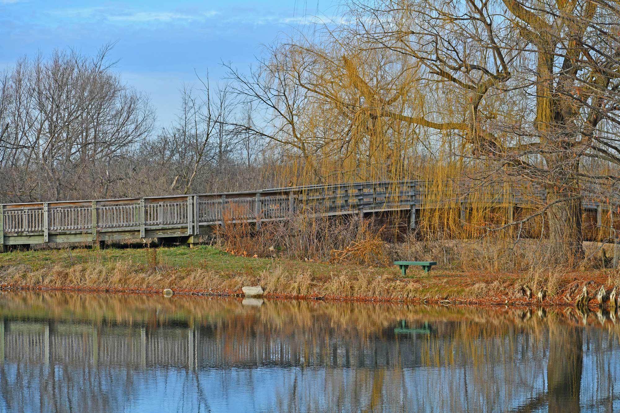 Pond with trees and walking bridge in the background.