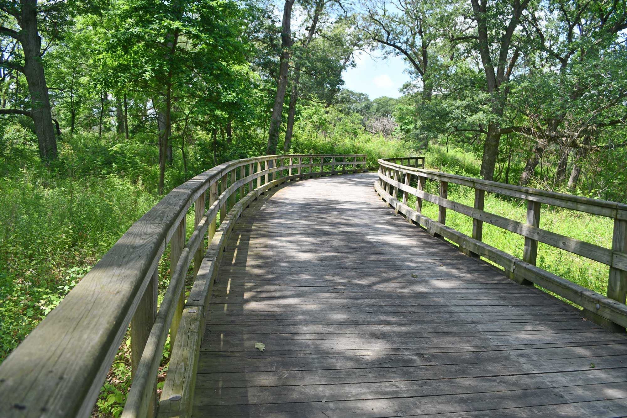 a wooden bridge with railings and trees