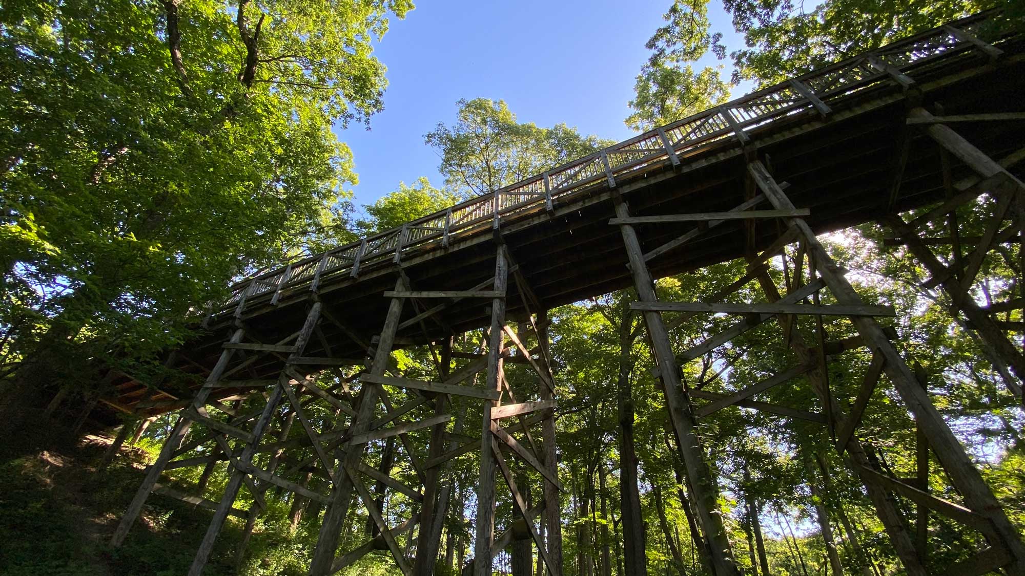 Bridge along a trail with trees in the background.