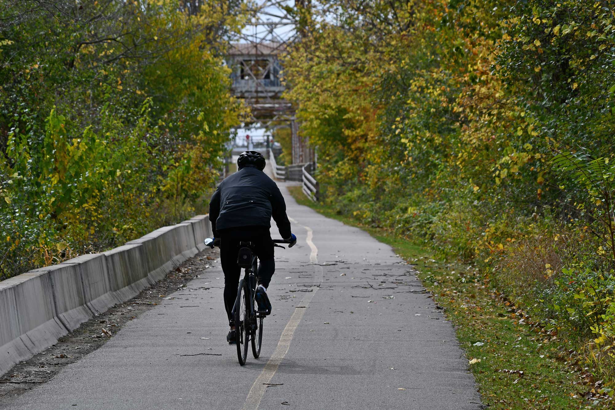 Person riding a bike on a paved trail lined by trees with a bridge in the background.
