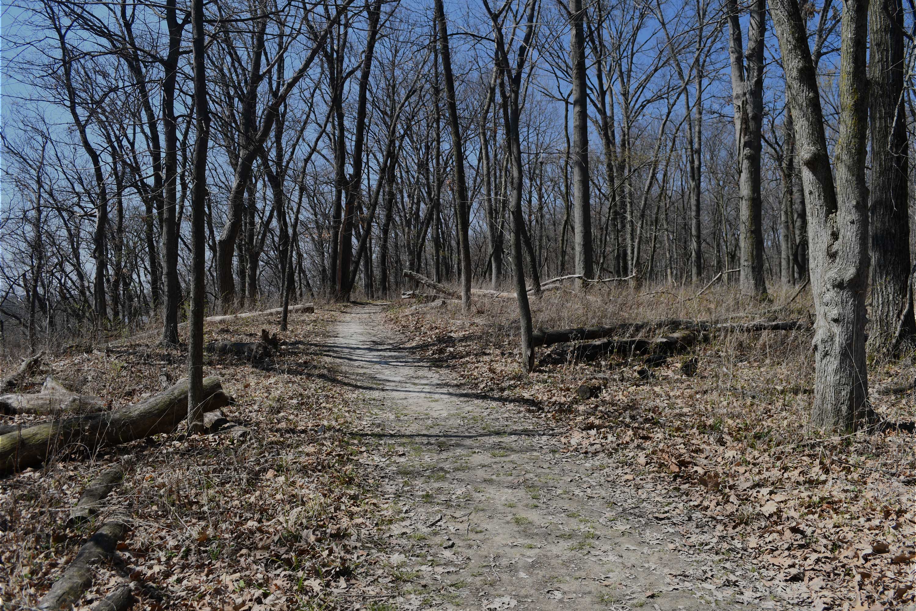 Scenery-McKinley-Woods-Anthony-Schalk-April-2025-2.jpg