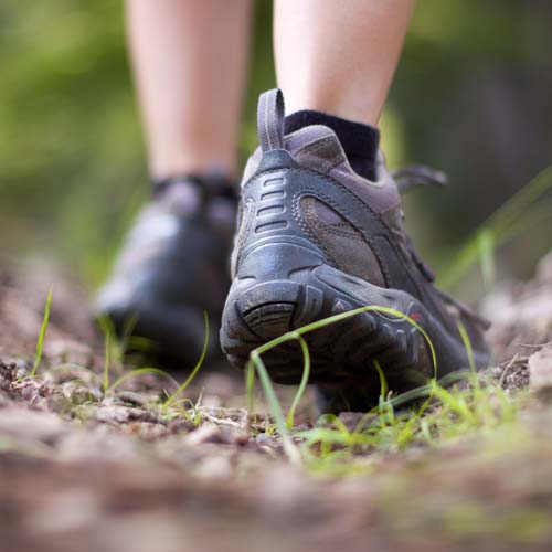 A close-up of a person's feet walking on a trail.