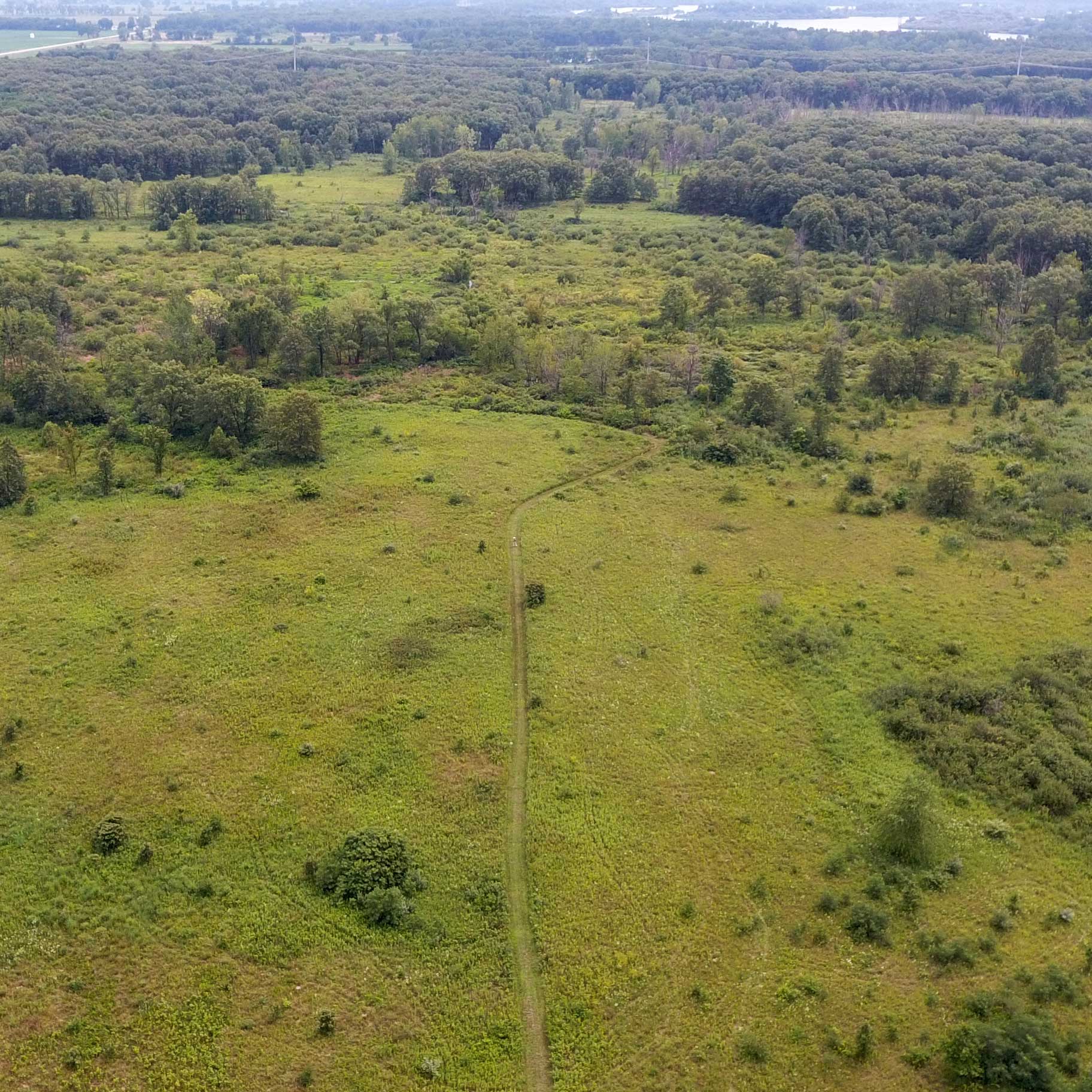 In the spotlight: Braidwood Dunes and Savanna Nature Preserve