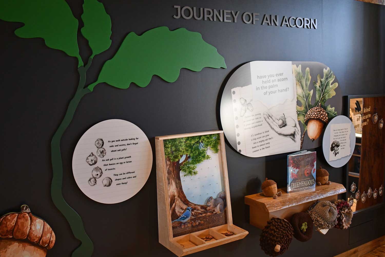 Interactive exhibit in a nature center.