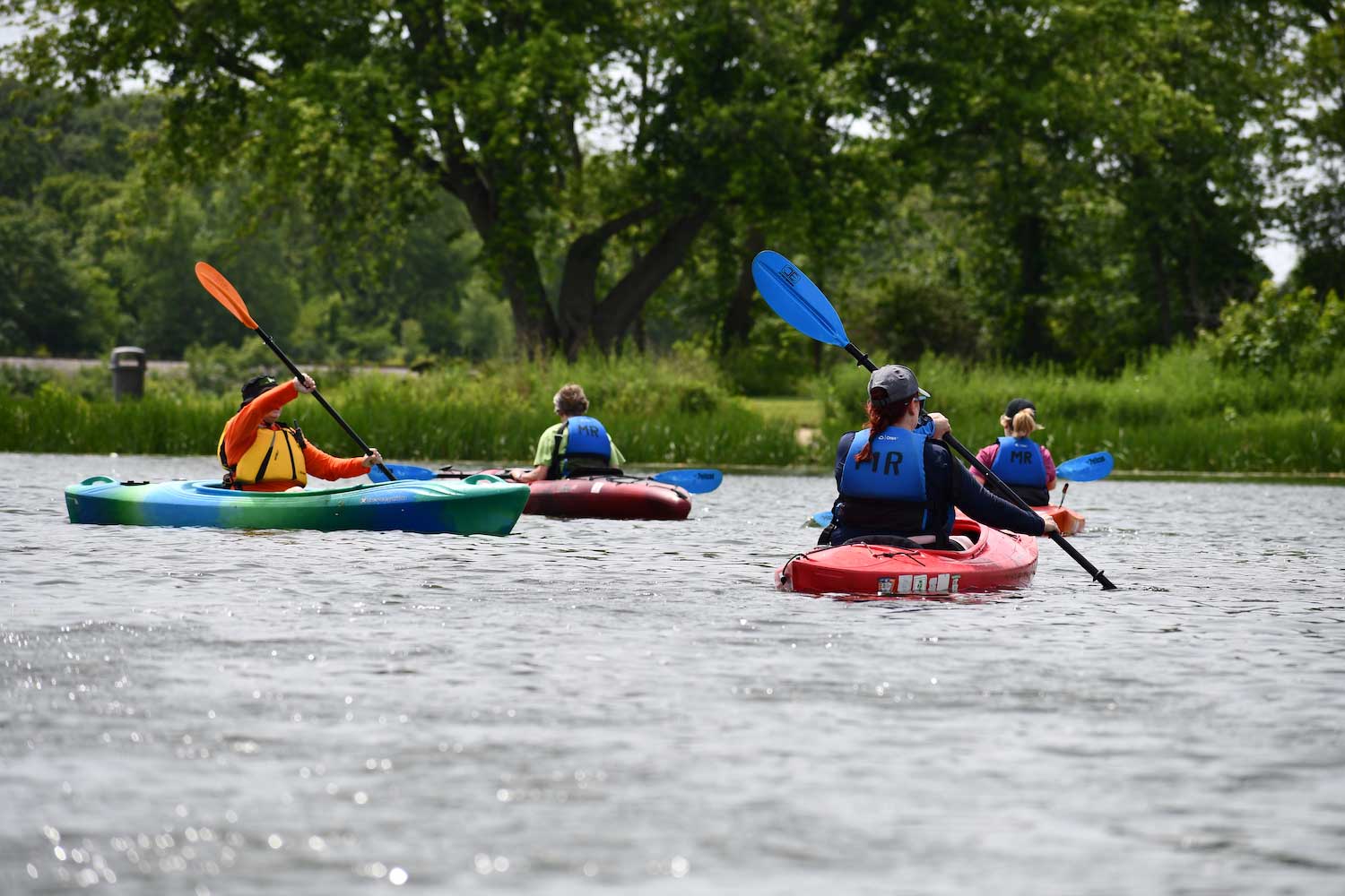 A group of four people out on the water in colorful kayaks.