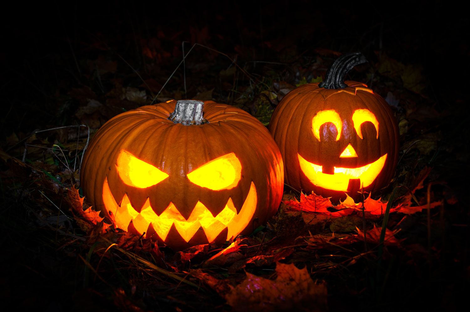 Two lit jack-o'-lanterns sitting on the leaf-covered ground.
