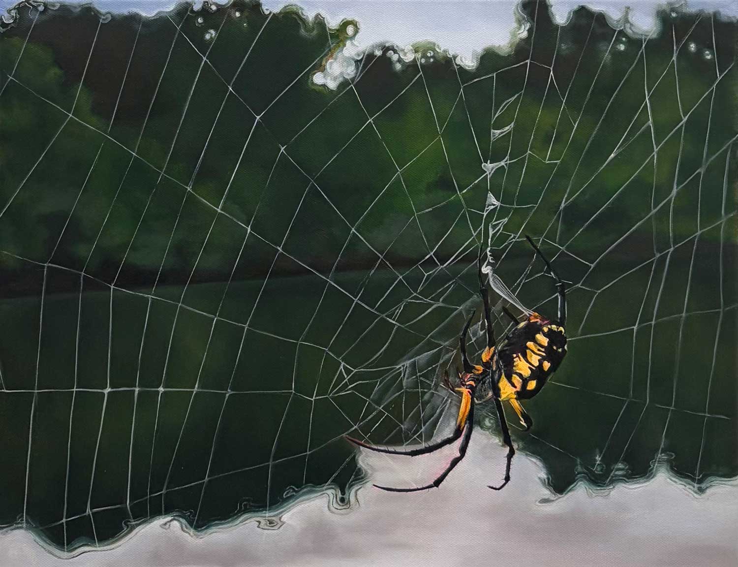 An oil painting of an orb weaver in its web with water and trees in the background.